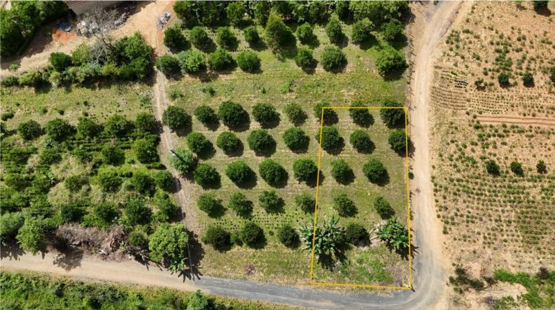 Imóvel Urbano com Área Total de 453,04 M2- em Dona Emma/SC — foto 3