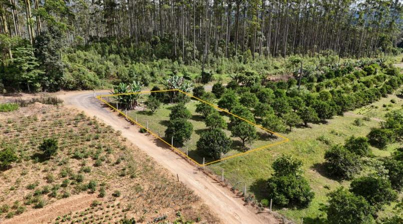 Imóvel Urbano com Área Total de 453,04 M2- em Dona Emma/SC — foto 4