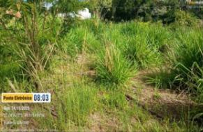 Imóvel Urbano com Área Total de 360.450 M2- em Ibirama/SC — foto 3