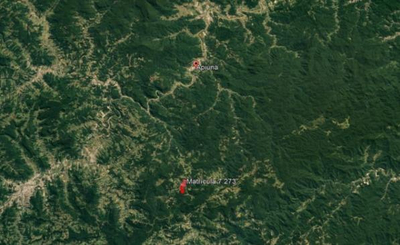 Imóvel Rural com Área Total de 21,291 Ha- em Apiúna/SC — foto 4