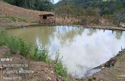 Imóvel Rural com Área Total de 21,291 Ha- em Apiúna/SC — foto 5