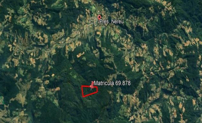 Imóvel Rural com Área Total de 35,000 Ha, em Presidente Nereu/SC — foto 2