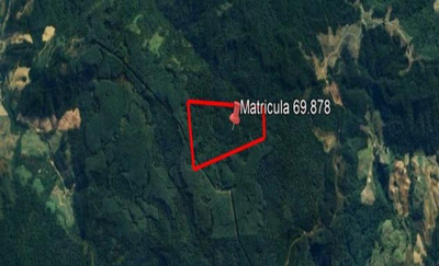Imóvel Rural com Área Total de 35,000 Ha, em Presidente Nereu/SC — foto 3