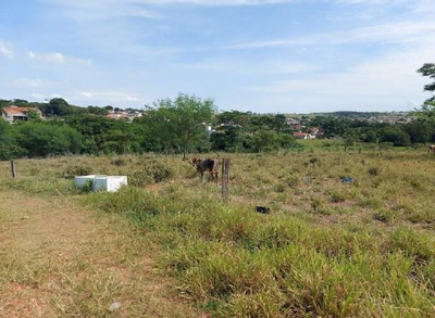 Oportunidade: - 50% do valor de avaliação!! Terreno Urbano 5.362m² em Presidente Bernardes/SP — foto 4