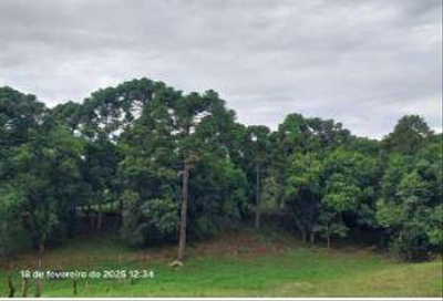 Parte ideal de 14,52ha da área total do imóvel rural com 551.000,00m². Localizado no Município de Castro/PR.