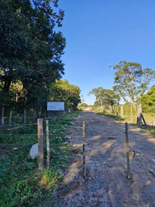 Terras rurais com área de 67.905,74m² - São Francisco do Sul/SC