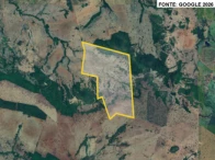 Fazenda com 149,48 hectares - Santa Fé de Goiás/GO — foto 4
