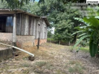 50% do Sítio c/ área total de 27,924 hectares - Tabaporã/MT — foto 3