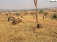 Fazenda com 149,48 hectares - Santa Fé de Goiás/GO