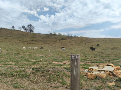 Imóvel Rural com Área Total de 108.416 M2- em Guiricema/MG — foto 2