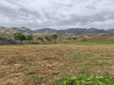 Imóvel Rural com Área Total de 108.416 M2- em Guiricema/MG — foto 3