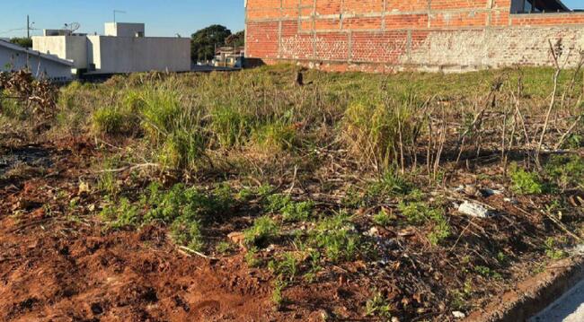 Imóvel C/ 300m² Em Pérola/PR — foto 4