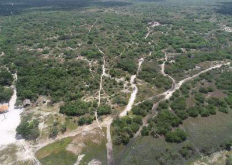 LOTE 001 Uma Gleba de Terras de 10.000.ha em Belágua/MA