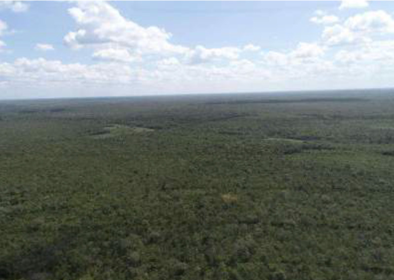 LOTE 002 Uma Gleba de Terras "Solidade" com 3.619.80ha em Belágua/MA