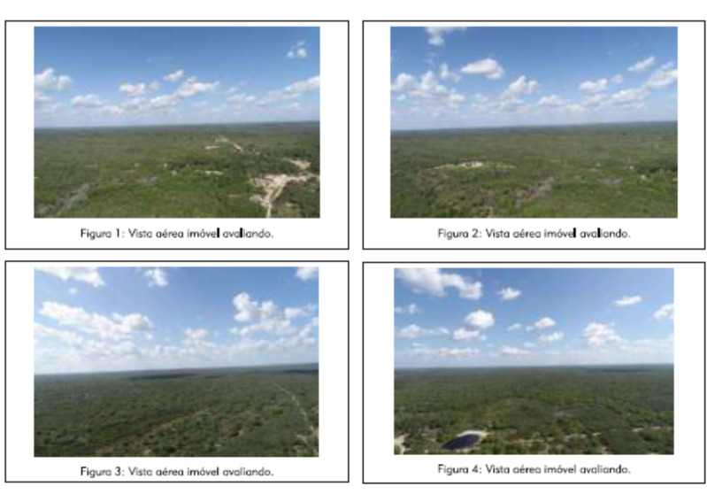 LOTE 003 Gleba de Terras de 5.429,70ha Belágua/MA — foto 4
