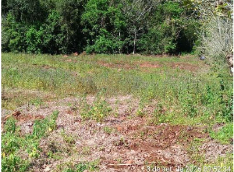 Parte ideal de lote rural matrícula nº 16.304 — foto 4