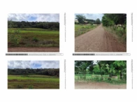 Imóvel Rural c/ 29.000m² - Santa Izabel do Oeste/PR — foto 2