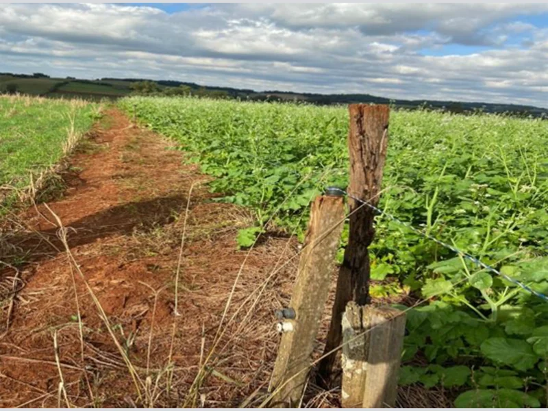 Terreno - Campina Das Missões - RS — foto 4