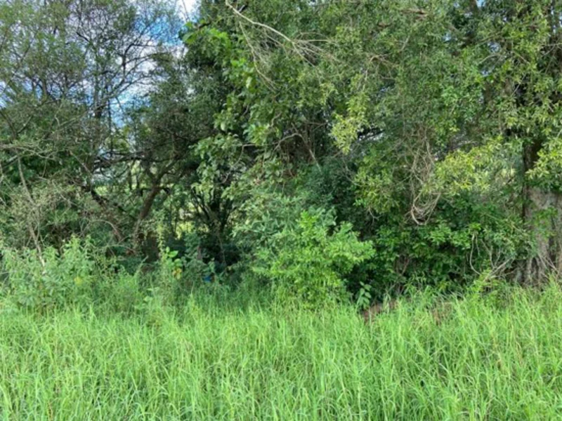 Terreno - Campina Das Missões - RS — foto 2