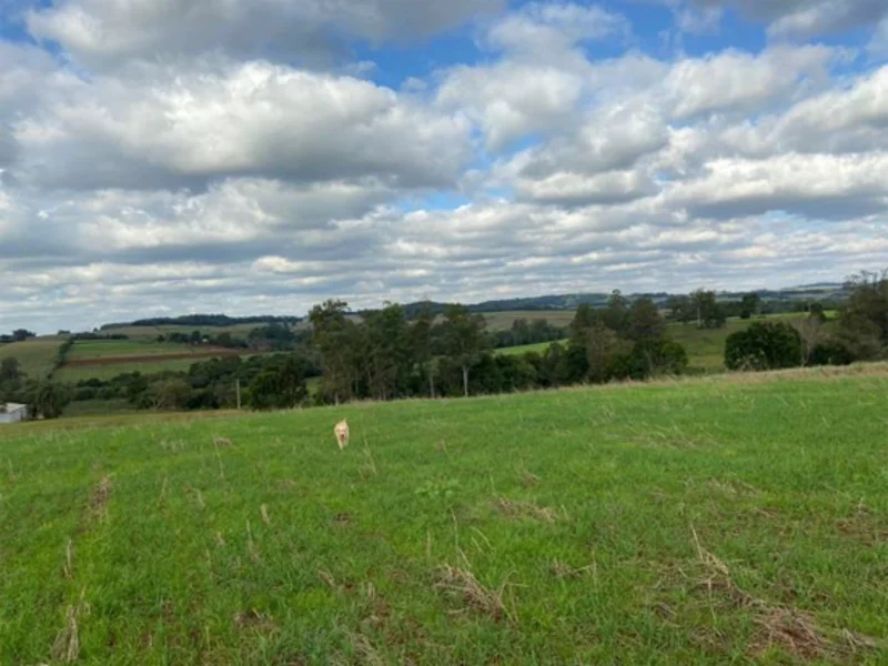 Terreno - Campina Das Missões - RS — foto 4
