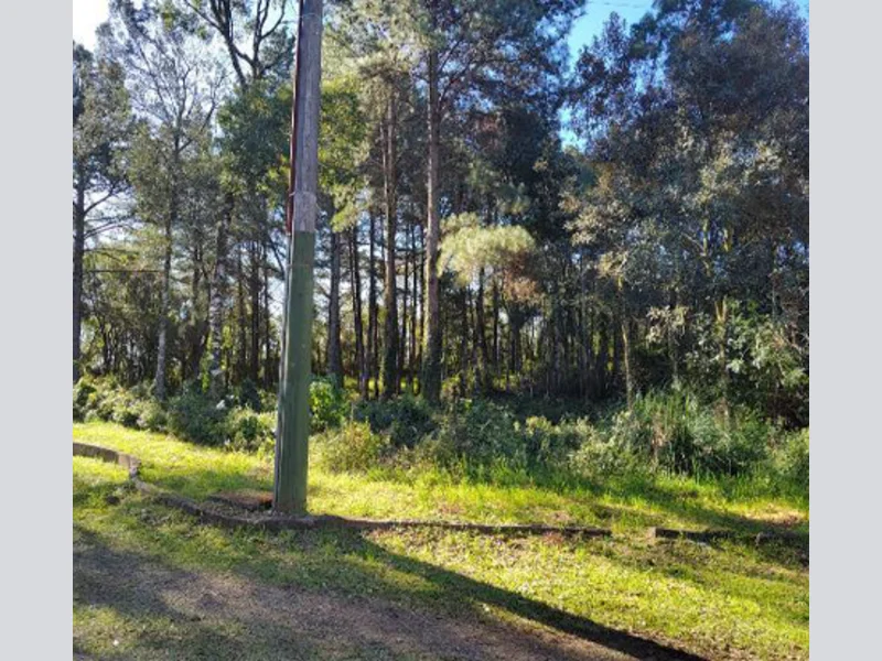 Terreno - Gramado - RS
