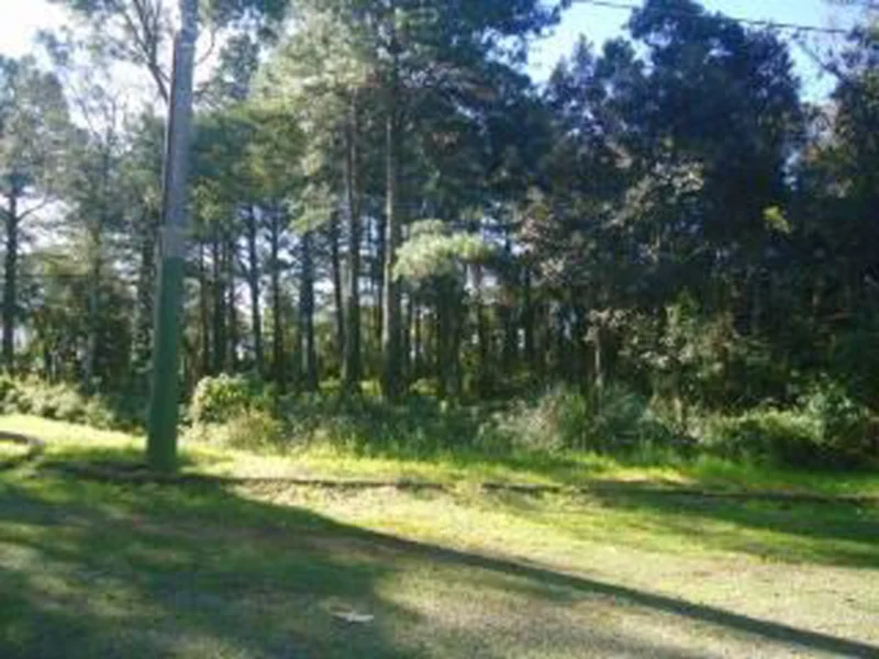 Terreno - Gramado - RS — foto 5