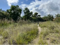 Chácara c/ 1,6000 hectares - Conde/PB — foto 3