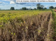 Parte ideal de 6,05 hectares - São Miguel do Guaporé/RO
