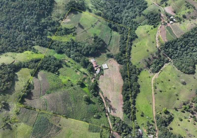 Lote 002 [3.199] Propriedade Rural 12,45ha em Romelândia/SC