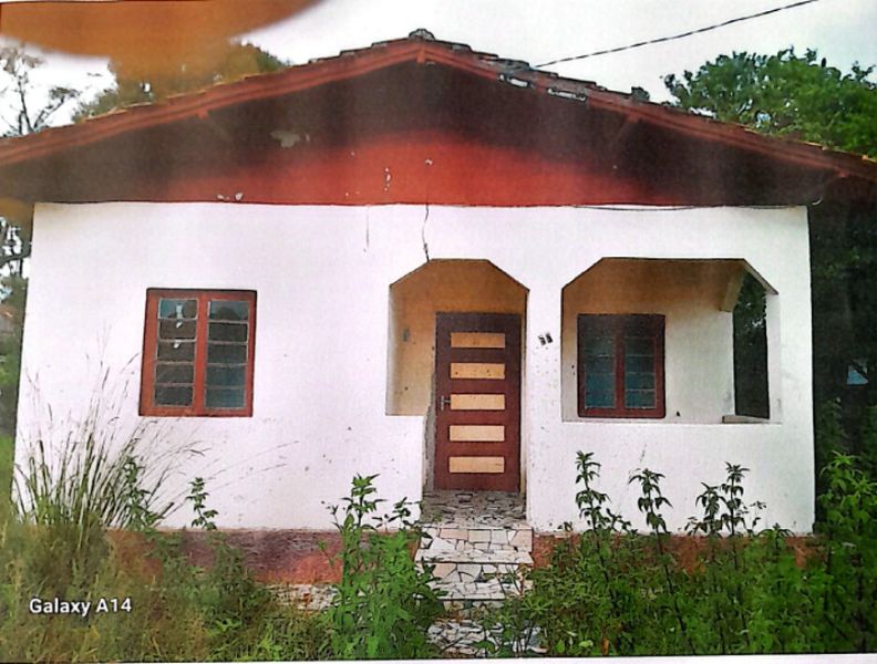 Imóvel Palmeira — foto 2