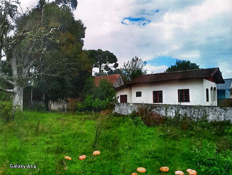 Imóvel Palmeira — foto 3