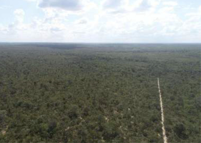 LOTE 004 Uma Gleba de Terras com 1.888,52ha em Belágua/MA