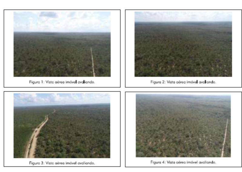 LOTE 004 Uma Gleba de Terras com 1.888,52ha em Belágua/MA — foto 3