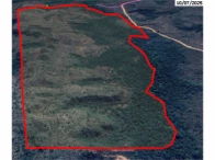 Sítio c/ 89,87 hectares - Campos Lindos/TO