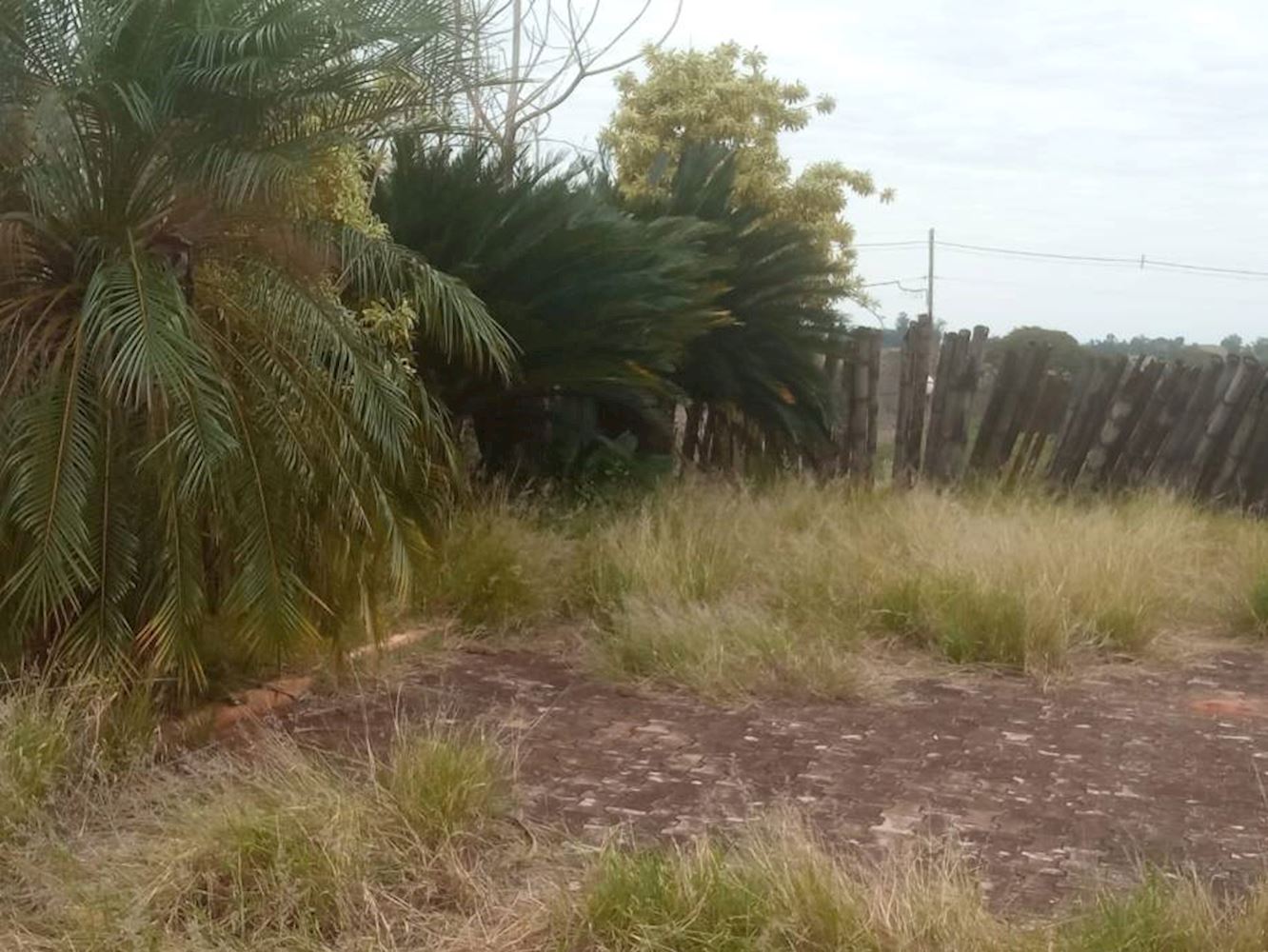 Terreno - Parque Residencial Viva - Pérola/PR — foto 3