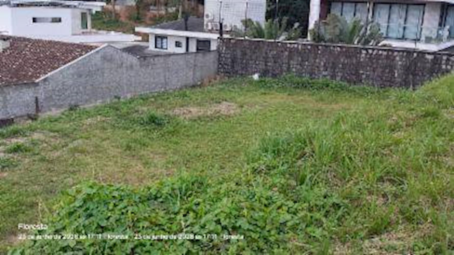 Terreno - Floresta - Joinville/SC — foto 4