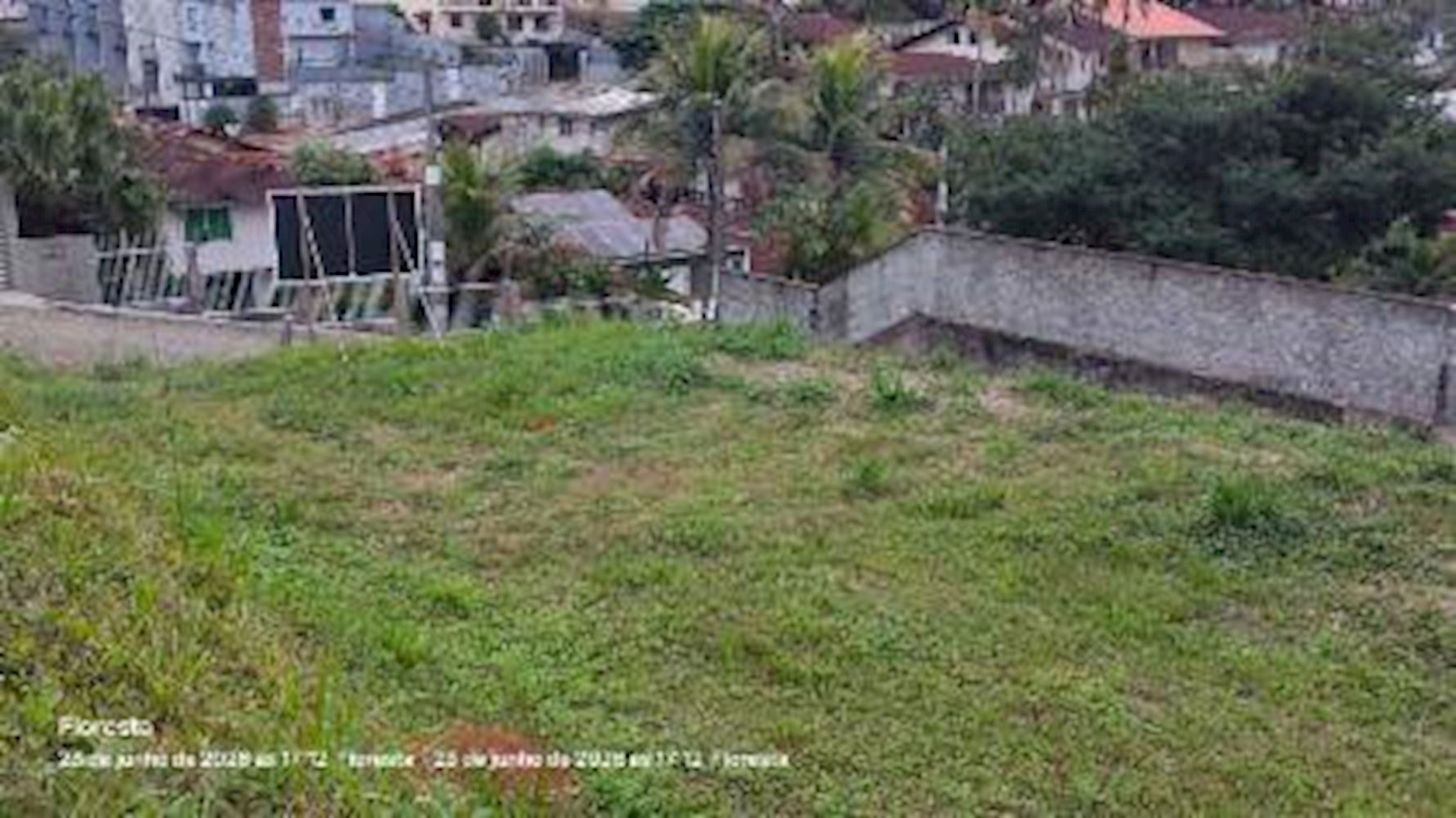 Terreno - Floresta - Joinville/SC — foto 5
