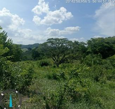 Imóvel Rural | A.t. 12,4977ha - Sitio Barro Preto Lote 68 | Colônia Canaã | Bodoquena/MS — foto 4