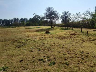 Lote, Chapada Dos Guimarães / MT — foto 2