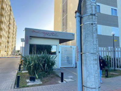 Apartamento, Pelotas / RS — foto 2