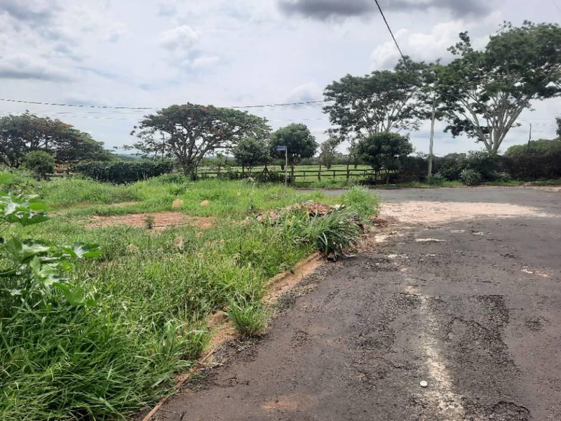 Lote, Orlândia / SP
