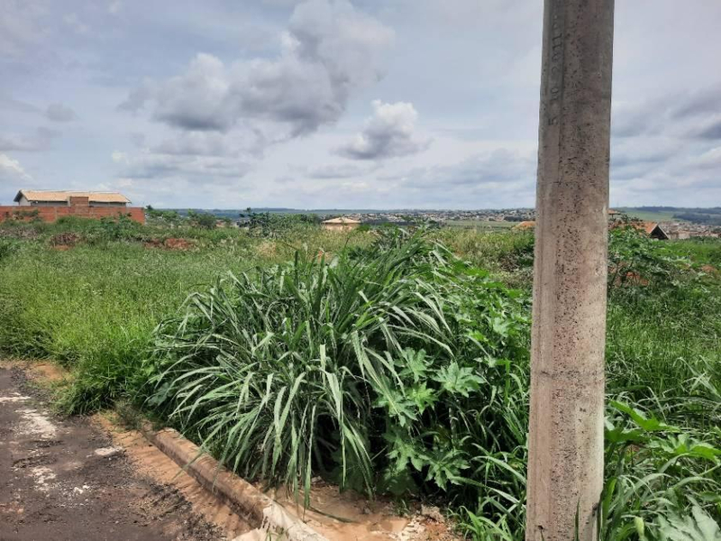 Lote, Orlândia / SP — foto 2