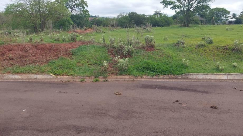 Lote 775m² | DESOCUPADO | Pérola-PR | Pérola - Amplo Terreno com Excelente Topografia - Pagamento Somente à Vista! — foto 3
