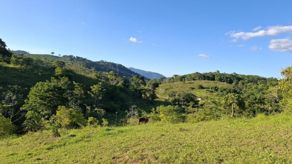 Imóvel Rural, Área total: 201ha, Aiquara/BA — foto 2