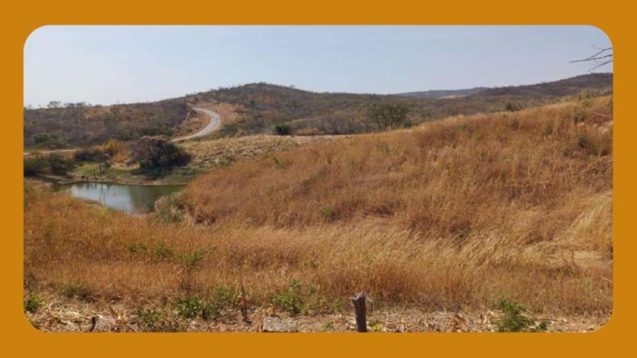 Um Terreno Localizado no Sitio Forquilha, Constituido da Área K Parcela 02, Zona Rural, Caririaçu/ce, com Área de 12.1331 Hectares.__ — foto 3