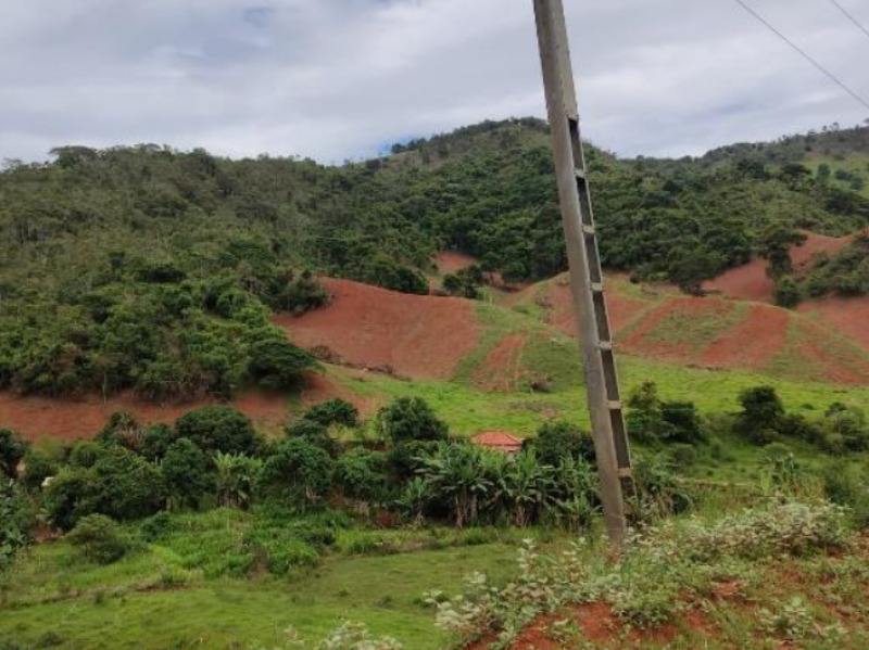 LOTE 001 Imóvel