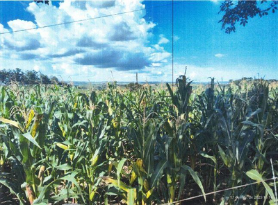 Imóveis Rural | Gleba Ubá, 1ª Secção | Lunardelli/PR — foto 4