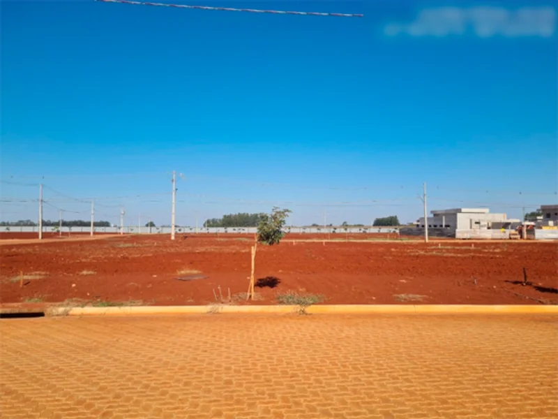 Terreno - Cândido Mota - SP — foto 5