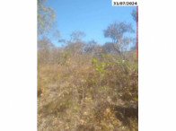 Sítio com 74,84 ha - Campinaçu/GO — foto 2
