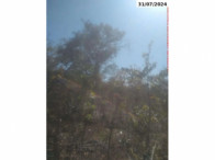 Sítio com 74,84 ha - Campinaçu/GO — foto 4